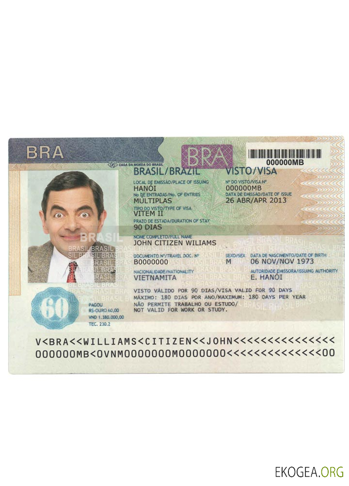 Visa BRÉSIL version 2